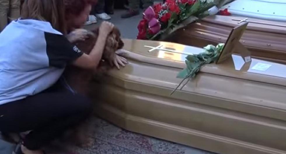 Perro se niega a abandonar ataúd de su dueño en Italia. (Foto: Captura YouTube)