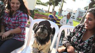 Áncash: 100 perros participaron en el "Canoween Criollo 2015"