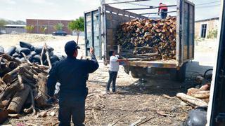 Piura pierde 20.800 hectáreas de bosques cada año