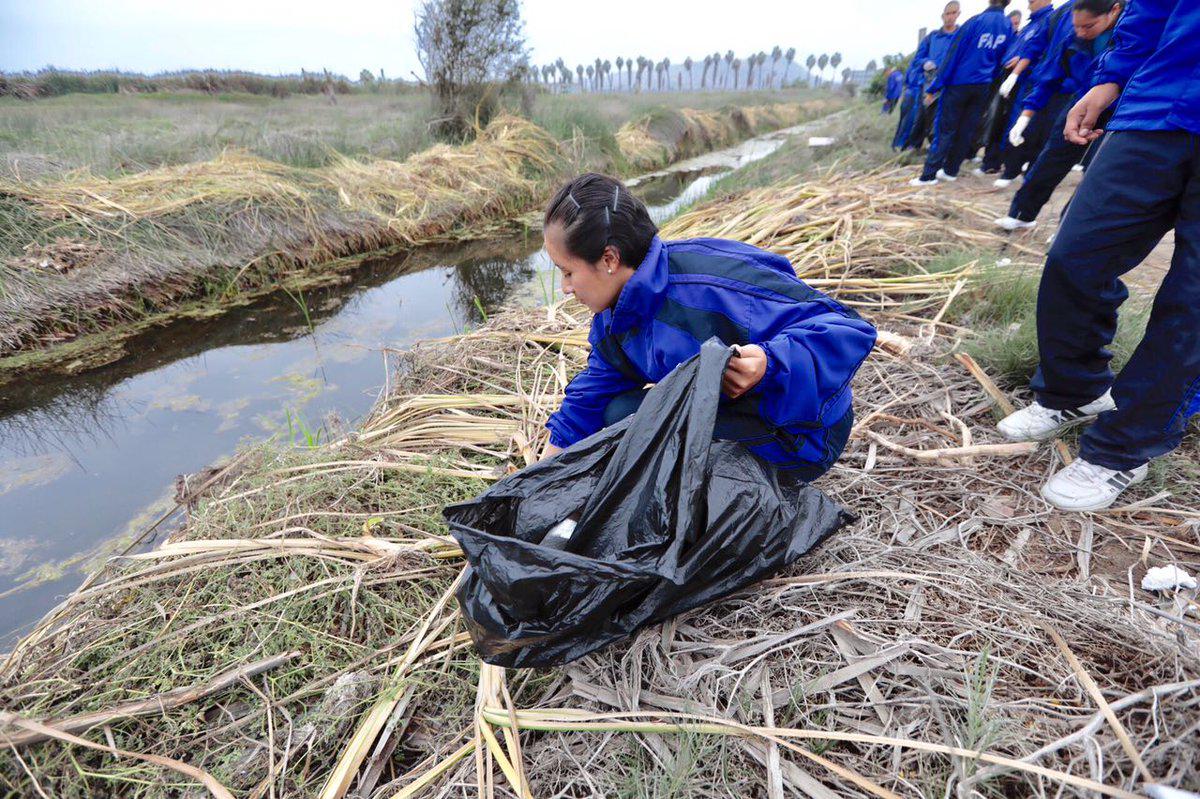 Estudiantes de diversas instituciones participaron en jornada de limpieza de los Pantanos de Villa, por el Día del Medio Ambiente. (Fotos: Difusión)