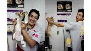 Se maltrataba a animales en tienda de mascotas [VIDEO]
