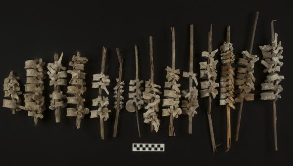 De entre los 192 postes con vértebras insertadas hallados, solo uno combina restos de adulto y de niño. (Foto: C. O'Shea)
