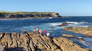 Un tiburón blanco mata y devora a un nadador en la playa de Little Bay, en Australia