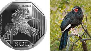 Moneda de S/ 1 alusiva a la pava aliblanca es elegida como la mejor del mundo