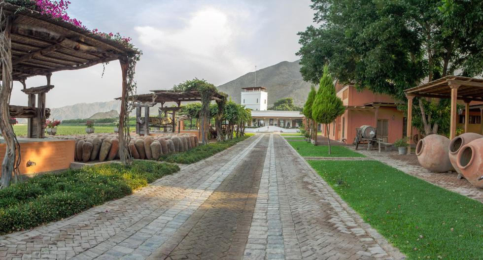 Viñas de Queirolo es una de las primeras apuestas por el enoturismo en la región de Ica. La casona tiene más de 80 habitaciones. (Fotos: Difusión)