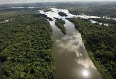 Medio ambiente: el compromiso de Amazonía peruana contra deforestación 