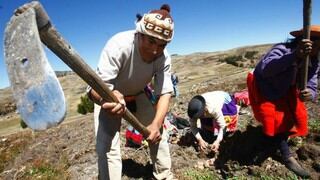 ¿Qué pasó con el padrón del Bono Rural de 760 soles?