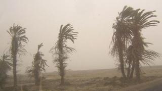 Pronostican vientos fuertes en litoral de Cañete y Arequipa