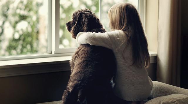 Amigo fiel: cómo elegir el perro perfecto para tus hijos - 2