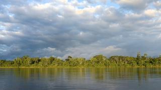 Día de los bosques: Proyecto permitirá el aprovechamiento sostenible de 440 mil hectáreas de bosque en Ucayali