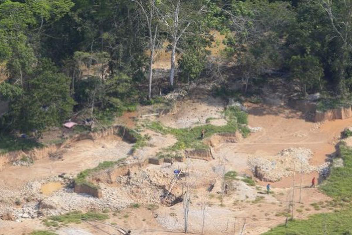 Tala ilegal en la Amazonía peruana continúa descontrolada, según Global Witness | PERU | EL COMERCIO PERÚ