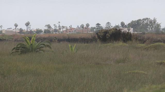 Pantanos de Villa: así lucía hoy la zona afectada [FOTOS] - 1