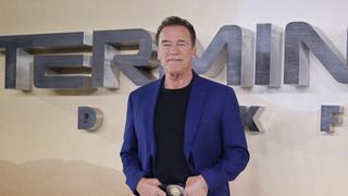Arnold Schwarzenegger ficha por Netflix para una serie de espías
