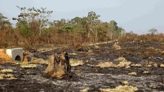 La humanidad demanda el doble de lo que la Tierra puede renovar