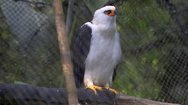 (Foto: Archivo El Comercio)