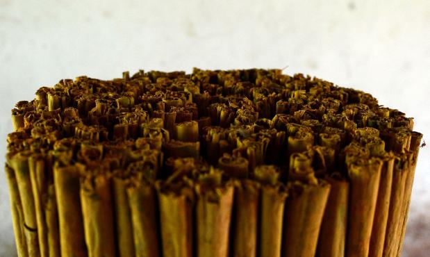 Usan ingredientes naturales para hacer repelentes o plásticos