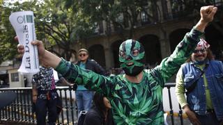 Partido de AMLO publica propuesta para legalizar la marihuana en México
