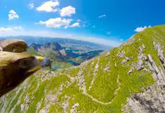 Facebook: "vuela" junto a un águila en su majestuoso trayecto por los Alpes [VIDEO]