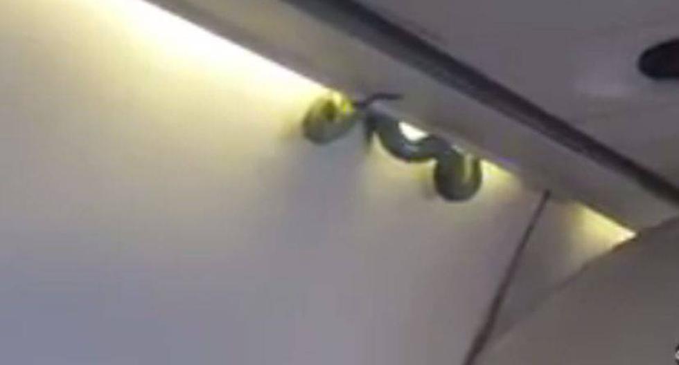 Una serpiente verde fue vista al interior de  un  vuelo de Aerom&eacute;xico el pasado 6 de noviembre ( Foto: captura video @inda_medina)