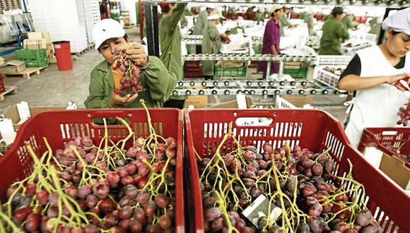Los despachos de uva fresca representaron el 25.5% de las exportaciones de frutas como productos no tradicionales en 2018. (Foto: GEC)<br>