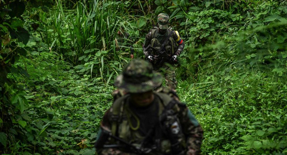 The controversy surrounding Petro’s attempt to negotiate with FARC dissidents: is it a viable project?