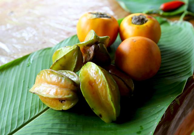 Boca Pariamanu: la comunidad nativa que nombró "Papa Francisco" a sus bosques. (Foto: Ministerio del Ambiente)