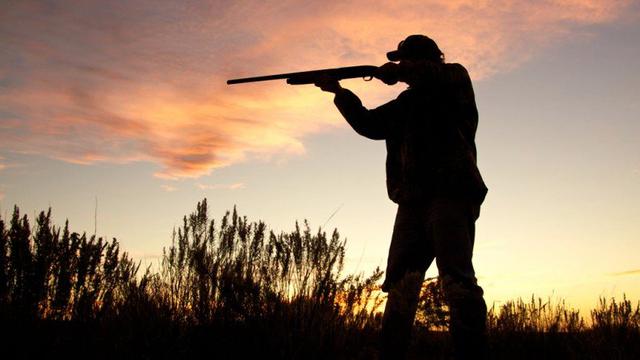 En algunas regiones italianas se están emitiendo medidas a favor de las actividades de caza, según denunciaron las principales asociaciones. (Foto: Difusión)