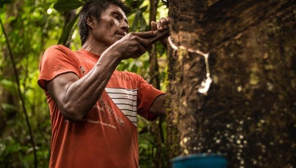 Desde las comunidades que habitan en los bosques boreales hasta las de grandes ciudades como Hong Kong, todos guardamos una estrecha relación con la naturaleza. Sin embargo, mediante diversas actividades como la minería, la construcción de infraestructura, la tala ilegal y el tráfico de fauna silvestre, estamos degradando la naturaleza, y fragmentando y dañando irreparablemente los ecosistemas.