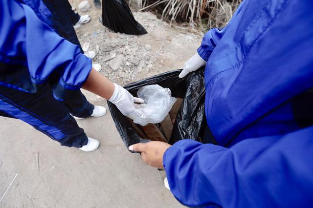 Estudiantes de diversas instituciones participaron en jornada de limpieza de los Pantanos de Villa, por el Día del Medio Ambiente. (Fotos: Difusión)
