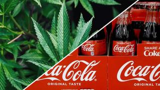 Coca-Cola: Presidente ejecutivo niega planes para entrar en el cannabis