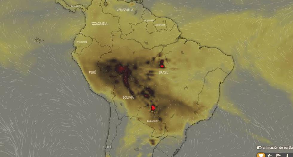 Arde la Amazonía de Brasil: Imágenes aéreas de los devastadores incendios. Foto: Google