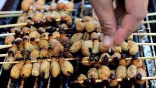 Por qué hay tanto rechazo a comer insectos si son considerados “superalimentos”