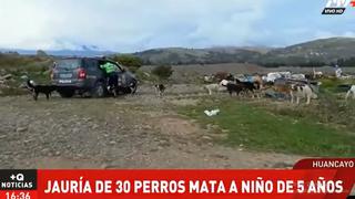 Huancayo: menor de 5 años murió tras ser atacado por más de 30 perros cerca del río Mantaro