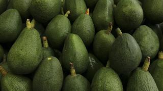 Palta peruana cerca de entrar al mercado de Corea del Sur