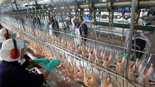 San Fernando: PJ desestimó acción de amparo por concertación de precio del pollo