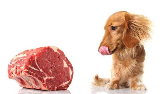 Los investigadores no encontraron evidencia científica sobre los supuestos beneficios de darle a tu mascota carne cruda (Foto: Getty)