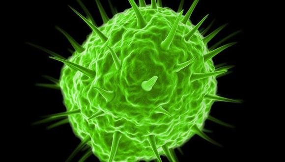 Los pandoravirus, incluidos dentro del grupo de virus gigantes, contienen muchos más genes que un virus normal. (GETTY IMAGES)