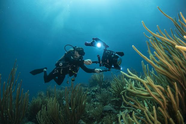 Documentación en video del trabajo científico y el paisaje marino. Foto: Oceana / Carlos Aguilera