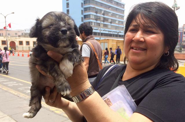 Venta ilegal de perros en jirón Ayacucho