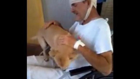 Puro amor: Un cachorro no abandona a su dueño ni en el hospital