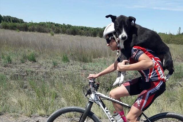 Ciclistas cargaron a un perro deshidratado que encontraron en medio de la carretera. Su objetivo era salvarlo. (Facebook | Marican Team)