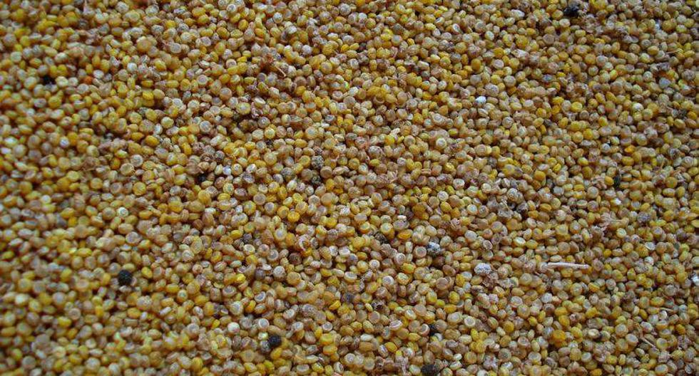 Alto valor nutricional del cereal andino pueden ayudar a combatir la desnutrición rural. (Foto: flickr.com/wheatfields)