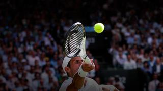 Así fue el punto de Djokovic para conseguir su séptimo campeonato en Wimbledon | VIDEO