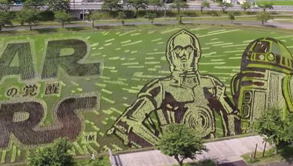 Geniales figuras de Star Wars en un campo de arroz [VIDEO]