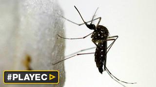 Zika, el virus subestimado en países ricos a un año del brote