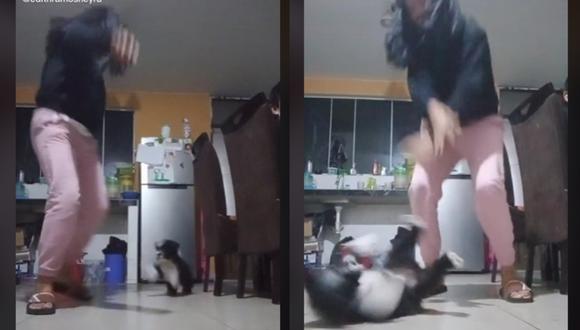 ¡Increíble! Mascota sorprende con su ‘talento’ para bailar | VIDEO (Foto: TikTok/@edithramosneyra).