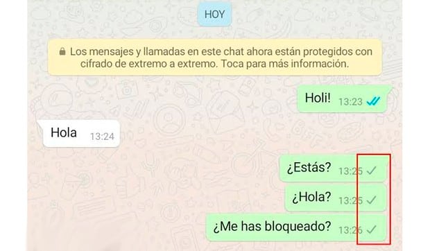 Una de las pistas es que si no le llega tu mensaje, naturalmente aparecerá el check plomo. (Foto: WhatsApp)