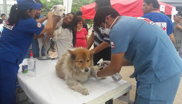 San Juan de Lurigancho