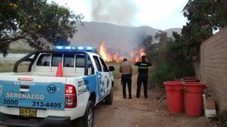 La Molina: incendio en pastizales de Universidad Agraria