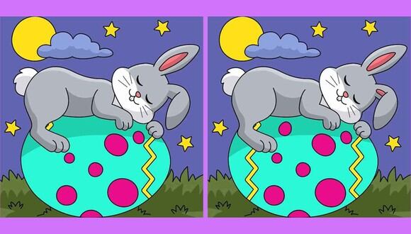 RETO VISUAL | Hay tres diferencias entre las imágenes del conejito durmiendo sobre huevos de Pascua. | jagranjosh